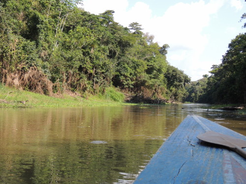 Yanayacu River